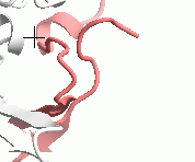 step1-13paint-view