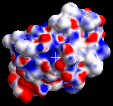 apbs_tool_elepot1