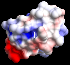 apbs_tool_elepot2