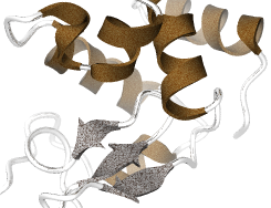 mixed-ribbon2