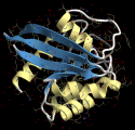 copypaste_renderer4